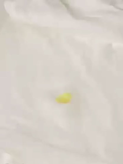 CleanStick - Big Power in a Tiny Size